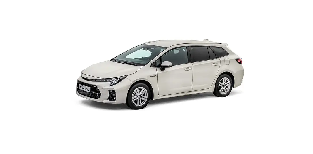 Precious Silver (040)